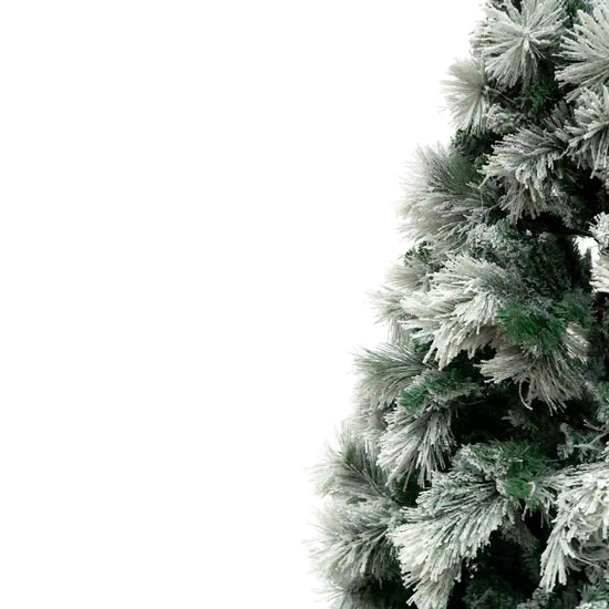 Pino Blanco Nevado, 3m