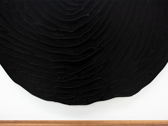 Cuadro Huella Parota Chico