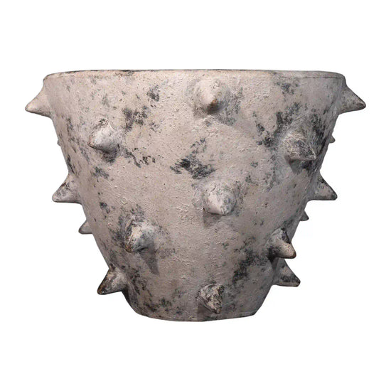 Maceta Orquídea Picos Mini