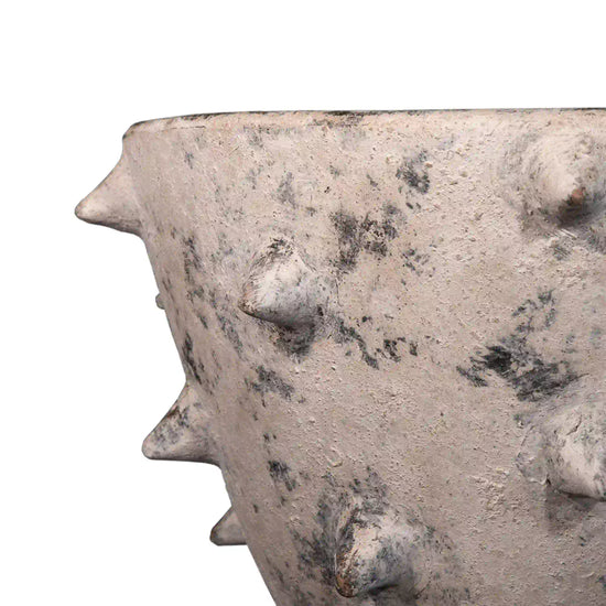 Maceta Orquídea Picos Mini