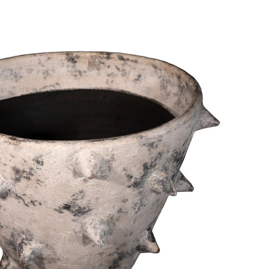 Maceta Orquídea Picos Mini