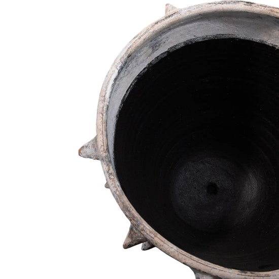 Maceta Orquídea Picos Mini