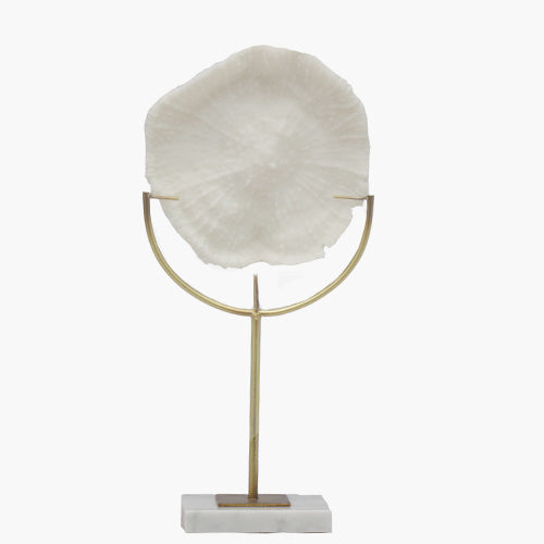 Coral Decorativo En Base De Marmol