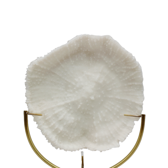 Coral Decorativo En Base De Marmol