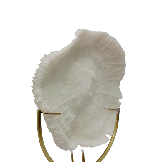 Coral Decorativo En Base De Marmol