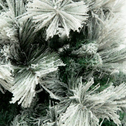 Pino Blanco Nevado, 2.4m