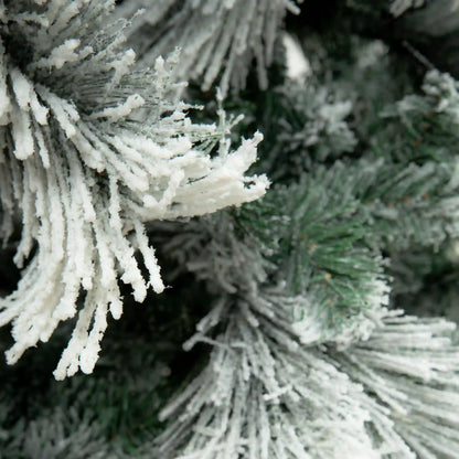 Pino Blanco Nevado, 3m