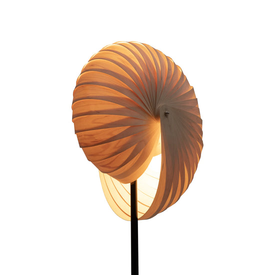 Lámpara de Piso Caracol