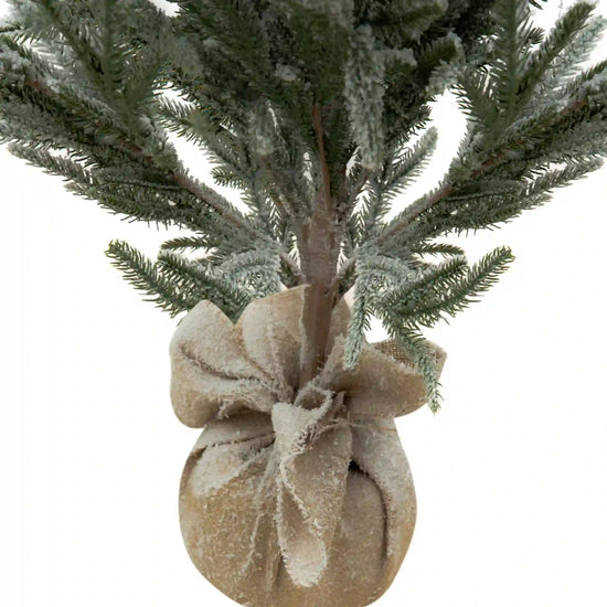 Pino Nevado Cipres, 1.8m